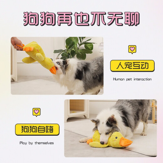 hoopet dog toy resistant to bite and molar, medium and large dog vocal dog toy, border collie, boredom relief artifact, golden retriever corgi, energy-consuming pet supplies, charging duck-yellow