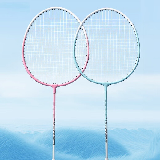 Deli youth badminton racket wear-resistant, lightweight and quality basic training badminton racket pairing