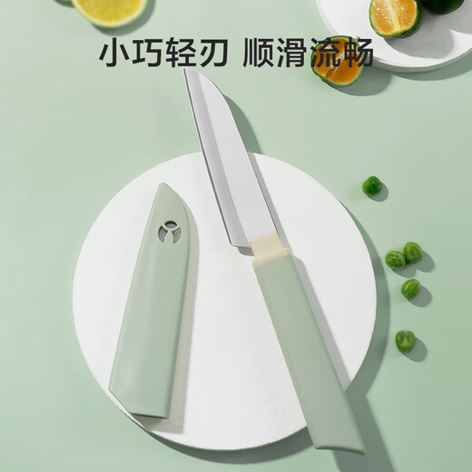 京东京造 青颜水果刀 削刮皮家用不锈钢学生宿舍露营安全【带刀鞘】