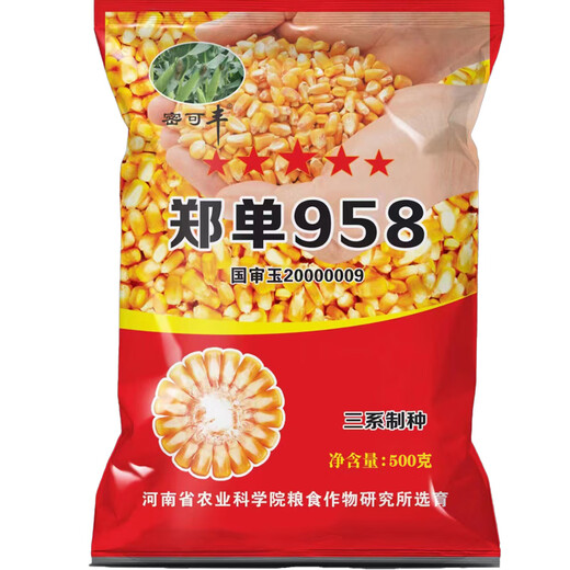 Suiyiman Zhengdan 958 corn seed high yield short stem lodging resistant corn seed big stick Sichuan Shandong good corn Zhengdan 958 four Jin Jin is equal to 0.5 kg / one bag