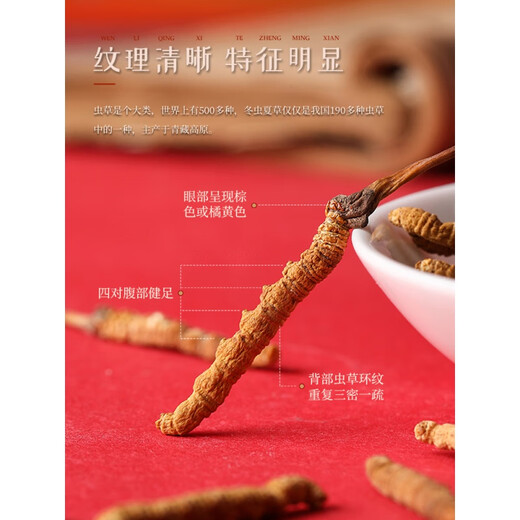 胡庆余堂官方冬虫夏草礼盒10g/5g#4000条皮质礼盒装送人用 10g装(精美皮质礼盒)