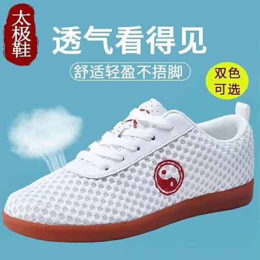 RSRDDY夏季网眼太极鞋夏款正宗陈家沟男女太极鞋夏季透气网面牛筋软尅痾 白色795 网面夏季款 42