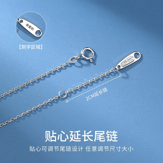 VIGG Wish Meteor Silver Necklace Women's Pendant Valentine's Day Birthday Gift Confession Anniversary Gift for Girlfriend and Wife Jewelry Wish Meteor Necklace Jingcang Next Day Delivery