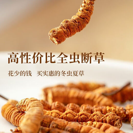 Cordyceps sinensis Broken Grass Pure Meat Festival Tibetan Snowy Big Cordyceps dry goods 100g bulk Cordyceps gift box Tibet Big Cordyceps 10g [Introduction]