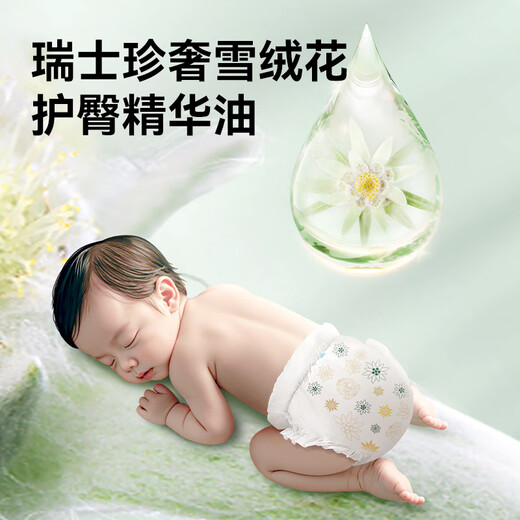 Bibi Royal Luxury Baby Growth Pants L size 3 pieces (9-14kg) ultra-thin and not stuffy at night portable [brand direct supply, safe quality]