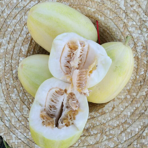 Zhongke Maohua Melon Fruit Seeds Maohua Sweet Fei Sweet Melon Seeds Northeastern Hybrid Jinfei Melon Oval Sugar Contains 16-18 Degrees Maohua Sweet 50 capsules/bag Trial Planting Pack