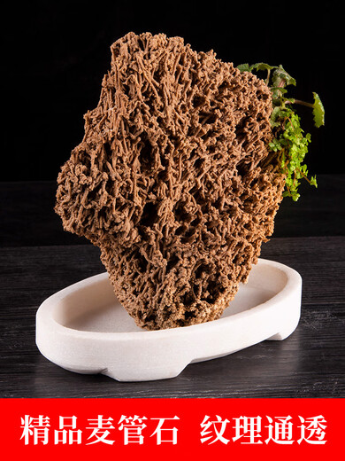 The best gold straw stone raw stone, natural water-absorbing stone, rockery bonsai ornaments, green plants, straw stone 36-40cm piece