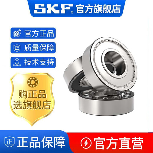 SKF Hochgeschwindigkeitslager 6207 6208 6209 6210 6211 6212 6213 2Z 2RS 6207-2 6213-2rs1 [Gummiversiegelung]