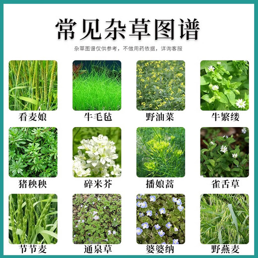 Fanbang 75% metsulfuron herbicide to remove shrubs and weeds, road and railway fire isolation zone, root rot herbicide, pesticide 12g/bag with auxiliaries