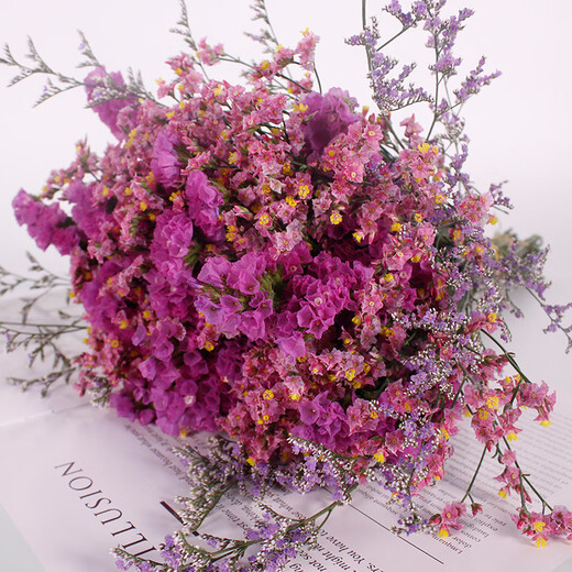 Love Yunnan Forget-Me-Not Dried Flowers Flower Ornaments Living Room Decoration Real Flower Arrangement Gypsophila Bouquet Festival Birthday Matching Rose Red + Red Crystal + Grass About 30 pcs