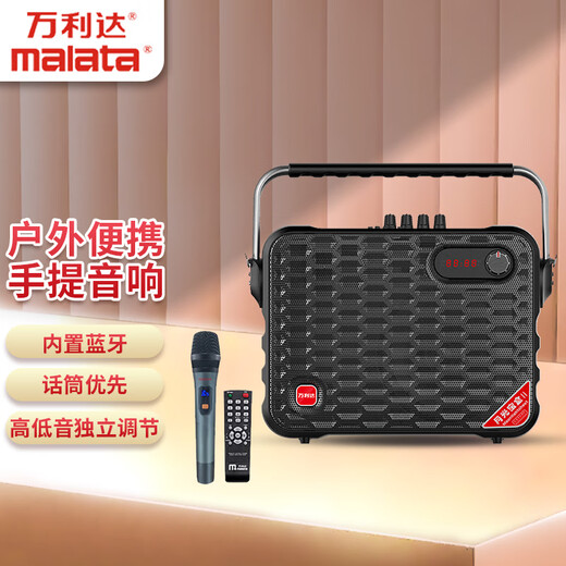 Malata outdoor audio square dance 6.5-inch portable wireless Bluetooth speaker charging with microphone electric acoustic guitar folk singing instrument speaker