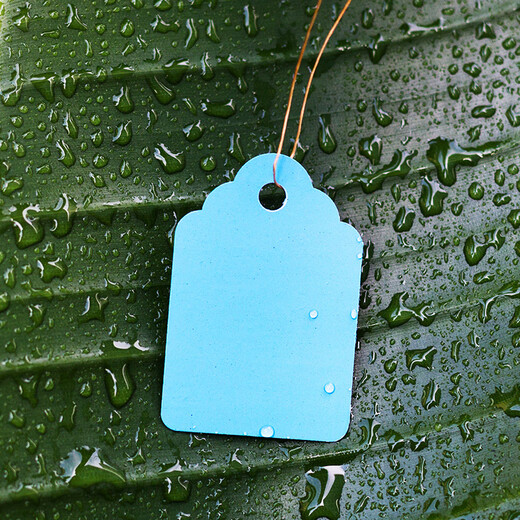 100 sheets of PVC color plastic plant tags for flower gardening potted plants small seedling tags succulent tags 5x3.5cm green 100 sheets in a bundle