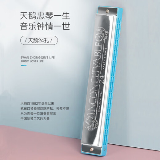 天鹅（SWAN）单音口琴24孔c调儿童小学生初学者入门C大调带简谱音符口风琴 【带音符标记】单音24孔C调黑色