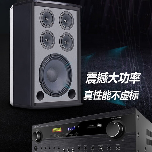 先科家庭ktv音响套装点歌机卡拉ok点唱一体机全套会议室家用家庭影院K歌全套电视客厅专业唱歌组合音箱 专业12寸10单元+功放+充电话筒+500G点歌机