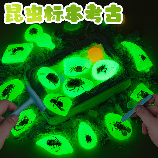 Jingjia Excavación arqueológica para niños Toy Fósil Fósiles Amber Insecto Elf Caja ciega Boy y niña Gema Hecha Gema Tesoro Aleatorio 2 Cajas de Insectos Cristal Arqueología Enviar Lanyard Random
