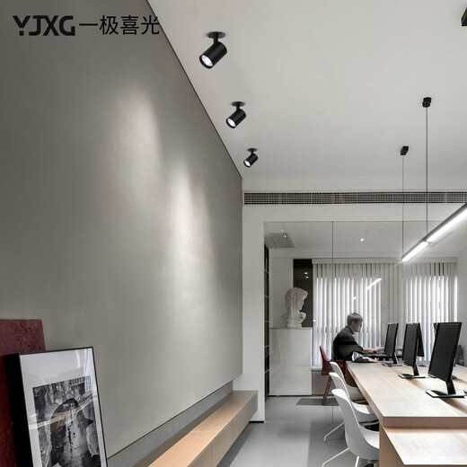 Yijixiguang LED embedded spotlights with adjustable angles, ceiling lights, commercial ceiling lights, store super bright cob spotlight downlights, home living room corridor dark light aisle lights, white light body - white light (6000k) 12w (opening 7-8cm)