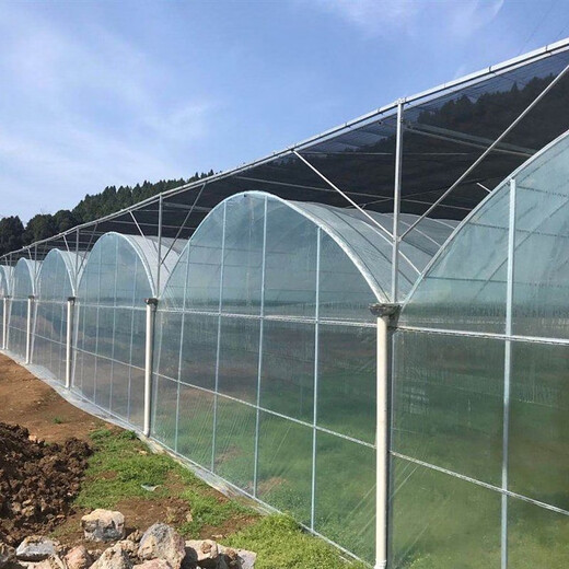 Nongyumeng greenhouse film agricultural white plastic sheet thickened thermal insulation waterproof anti-aging transparent non-drip film 2 meters wide (6S) 1 meter long