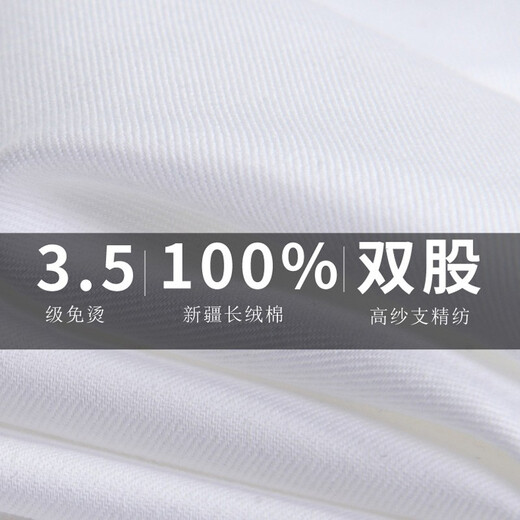 啄木鸟纯棉DP成衣免烫白色衬衫男士短袖夏季新款商务正装职业工装蓝衬衣 短袖3913白色 40建议140-149斤