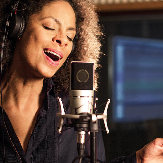 SENNHEISER MK8 dual-diaphragm professional vocal microphone condenser microphone anchor live broadcast karaoke singing recording engineer radio dubbing MK8 condenser microphone