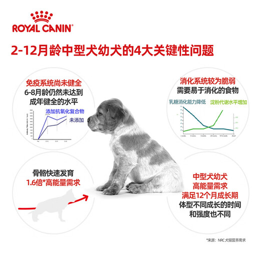 ROYAL CANIN Royal Canin Food MES30 Medium-sized Dog Weaning Period Milk Cake MEJ32 Puppy Dog Food M25 General Full-price Main Food for Adult Dogs 2-12 months old MEJ32 Medium-sized Dog Puppy Food 4kg