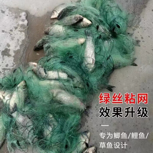 Yuxige Fishing Net Fishing Net Sticky Fish High Quality Thin Soft Green Silk Three-layer Fish My Sunken Net Hanging Fish Net Crucian Carp Net Silver Carp Green Silk Three-layer Sunken Net 1.5 meters high 3 fingers 50 meters long