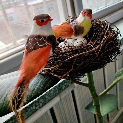 Runhua Nian Bird's Nest Bird's Nest Bird Supplies Bird Cage Handmade Straw Outdoor Pastoral Style Simulation Decoration Farmhouse Pendant Rattan Bird's Nest 1cm One