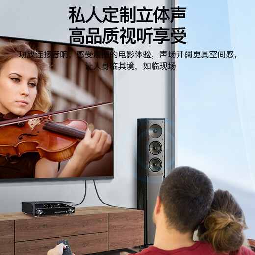 秋叶原（CHOSEAL）发烧级RCA公对公单晶铜音频线 莲花公对公 功放音响回音壁接电视机顶盒DVD线 5米 QS9909T5