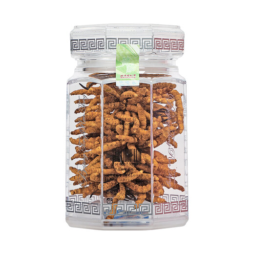Tongrentang (TRT) freeze-dried Cordyceps gift box 60g high-end Cordyceps gift gifts for elders and parents [-20/60g gift box gift bag]