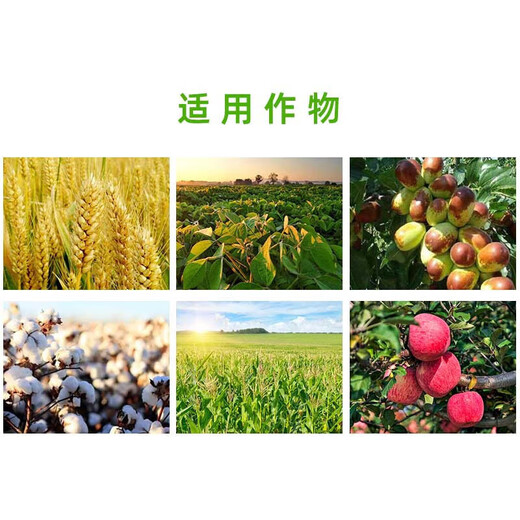 Shanggebaoying 20% Phenylpeptide Amino Acid Citrus Mango Preserves Flowers and Fruits and Promotes Flower Bud Differentiation Regulator Pesticide 500g*5 Bottles (Please be careful when scratching the code)