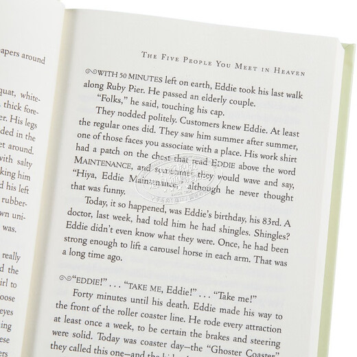 天堂里遇见的五个人 20周年版 The Five People You Meet In Heaven 英文原版 Mitch Albom