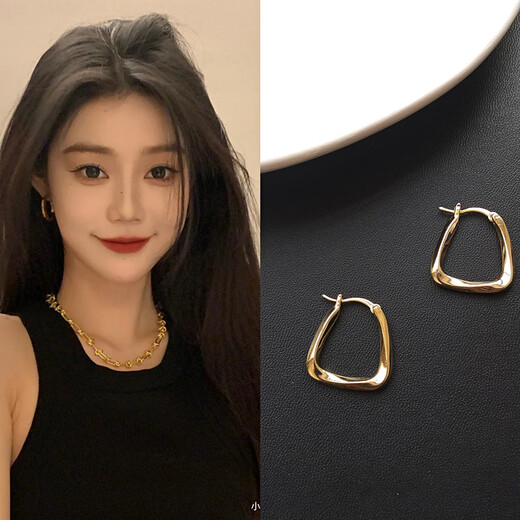 Yican Korean internet celebrity metal earrings for women 2025 new popular silver needle earrings cold style niche style earrings gold earrings