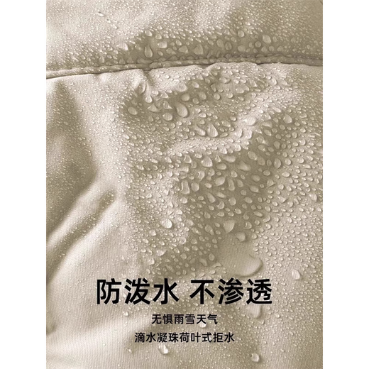 Memaru Winter Windproof Mask Lei Feng Hat Women's Velvet Thickened Cycling Electric Vehicle Warm Ear Protection Windproof Pullover Hat Women's Solid Purple Single Hat (Main Picture Color)