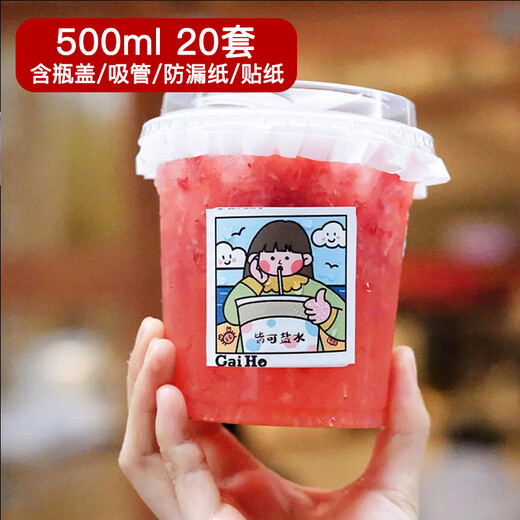 Quanshi Disposable PET Drink Cups with Lid 500ml*20 Sets Plastic Cup Dudu Cups with Straws and Leak-proof Paper Stickers