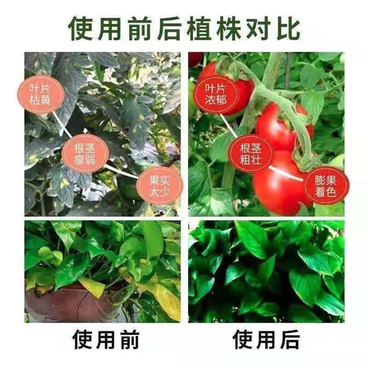 Compound fertilizer urea phosphate fertilizer potassium fertilizer flower fertilizer flower potted vegetables and fruit tree fertilizer universal nitrogen, phosphorus and potassium general upgraded formula compound fertilizer 10Jin Jin equal to 0.5kg
