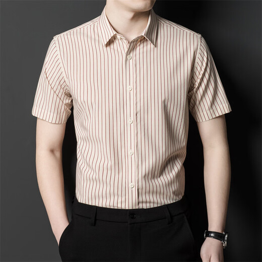 JASONWOOD high-end brand men's short-sleeved shirt men's summer thin stripes business casual loose men's shirt top light gray stripes L 175/50