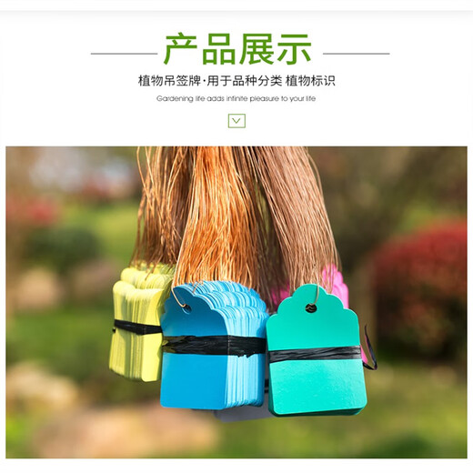 Plastic experimental small tag green plant flower label waterproof tag gardening seedling tag orchid plant 25*36 white 100 sheets