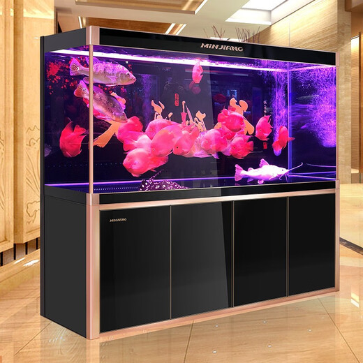 Fujian Jiang (Minjiang) Großer Fischtank Wohnzimmer und Haushaltsbodenfilter Aquarium Ökologische Wasserfreie Büro Fengshui Dragon Fischtank Weiß 150 Länge 43 Breite 155 Höhe [schmaler Seitenstil] + 688 Filterpaket