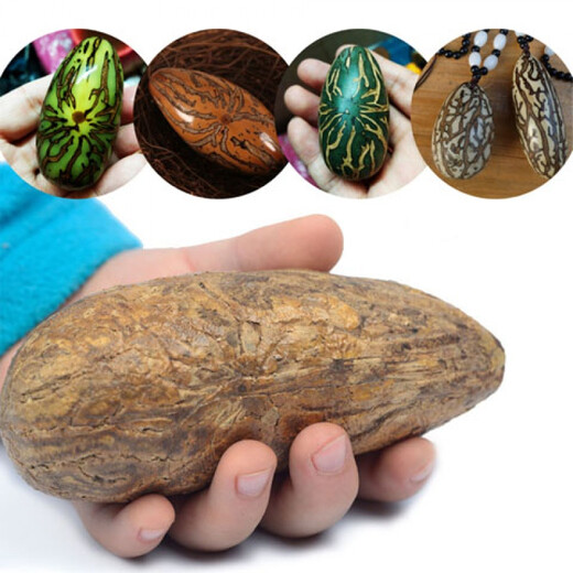 Miaoling Pavilion Thousand-Eyed Bodhi Seed Atomic Seed Weathered Extra Large Red-striped Fruit Star-and-Moon Bodhi Fruit Handpiece Bracelet Materials Spider Pattern/Yin-skinned Old Fruit-2 Long Fruits 8-10cm Long-Selected Bodhi //Sandpaper