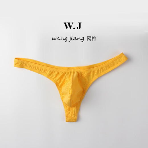 European and American men's sexy underwear low-waist sexy nylon ice mesh breathable thong t-pants white.. S