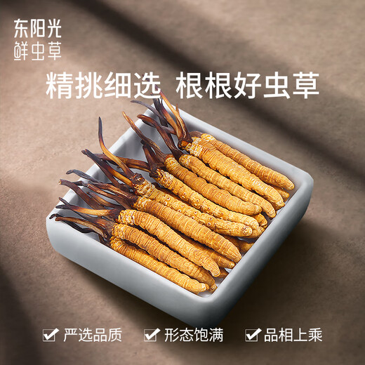 东阳光冬虫夏草3-4根/g75g约260根滋补礼盒冬虫草营养品补品送长辈老人