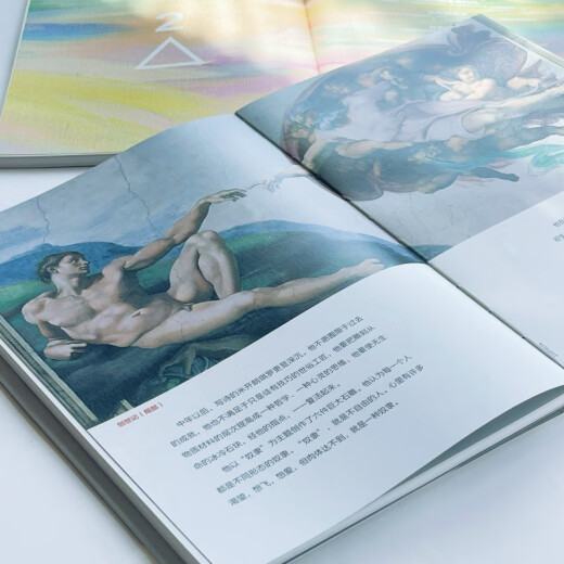 【京仓直发 正版包邮】对立之美：西方艺术701年 春运旅途书单 春运书单 旅途书单 蒋勋 湖南美术出版社
