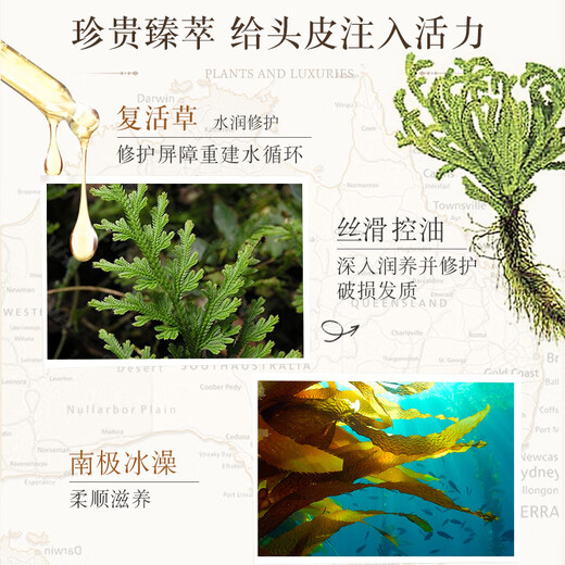 植物语录精油深层修护洗发露80ml瓶装白松露南极冰藻
