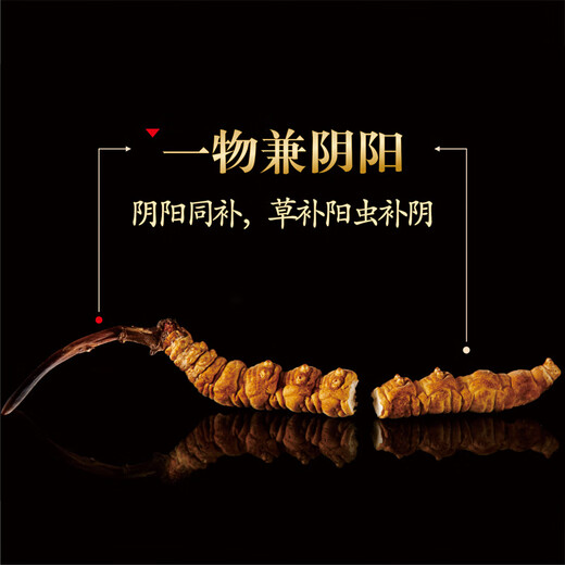 Crystal grass Cordyceps sinensis 2 roots/g1g broken grass About 4 roots High clean and pure all-phase Cordyceps sinensis recommended to eat high cost performance