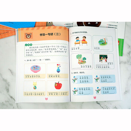 幼小衔接冲刺练习-语文297875493**834
