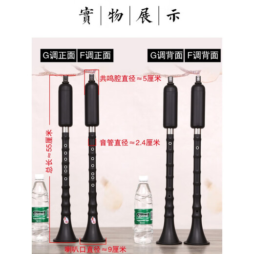 巴乌乐器竖吹成人演奏小学生初学入门大音量 单管乐器 F调+包+指法表+入门教学书