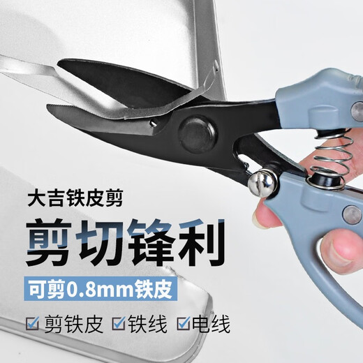 Taiji nouveaux ciseaux en fer, ciseaux en fil de fer, ciseaux à mailles de fer, ciseaux à plaques en plastique dur, ciseaux à quille pour plafonnier, ciseaux en fer de nouveau style Taiji 211, 1 paire