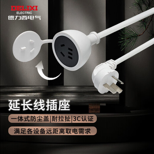 德力西(DELIXI) 电源插座延长线/电线插座/延长线插座电动车充电延长线/插排/排插 10A 全长0.6米无开关