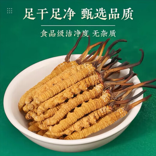 雄风道正宗冬虫夏草虫草头期藏区雪域冬虫夏草过节送礼礼盒装 3根/克 10克装