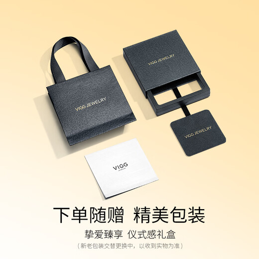 VIGG Wish Meteor Silver Necklace Women's Pendant Valentine's Day Birthday Gift Confession Anniversary Gift for Girlfriend and Wife Jewelry Wish Meteor Necklace Jingcang Next Day Delivery