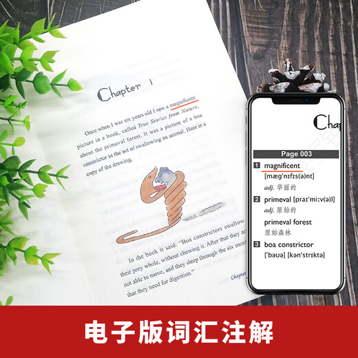 小王子英文版 英文原版小说 附赠词汇注解手册 扫码听音频 全英文版畅销小说读物阅读 世界经典文学名著 小王子图书 The Little Prince